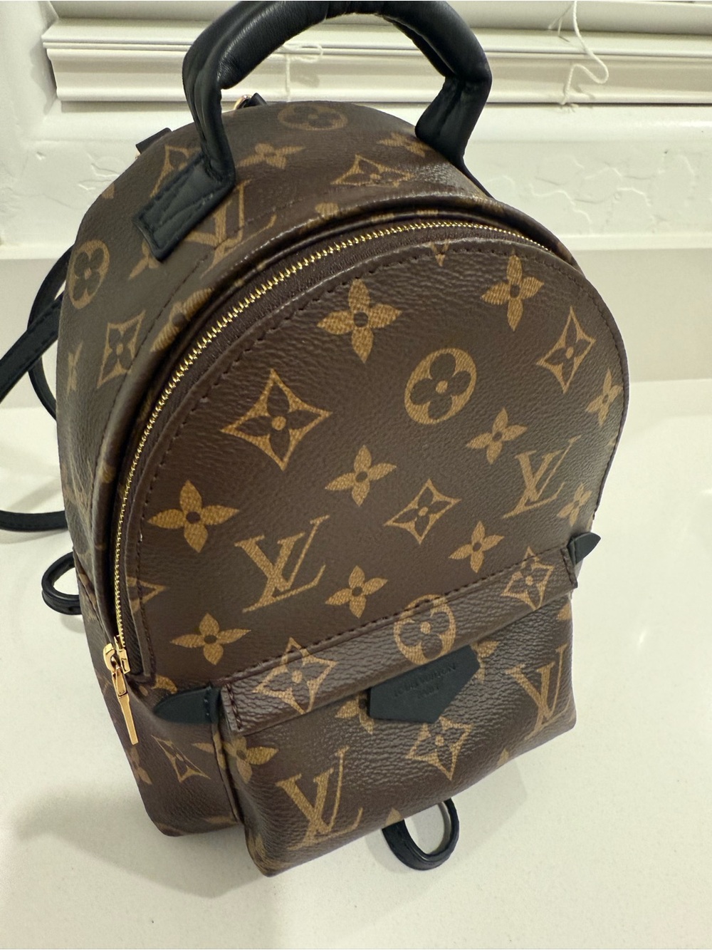 Louis Vuitton Palm Springs Mini Backpack